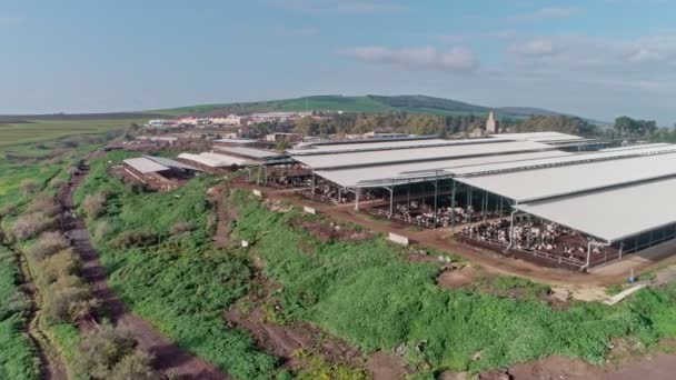 Aerial Footage Large Scale Dairy Farm — Stock Video