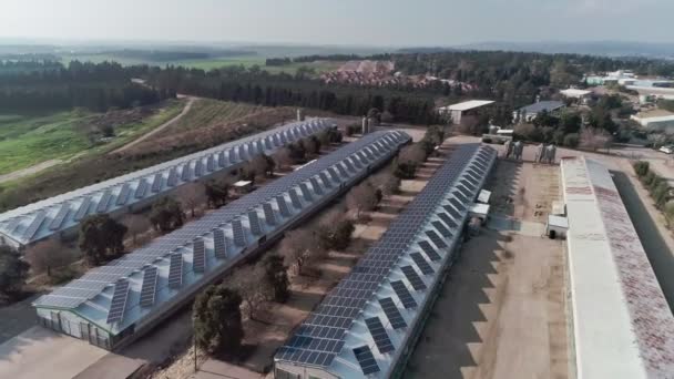 Luchtfoto Beeldmateriaal Grote Kippenboerderij Noord Israël — Stockvideo