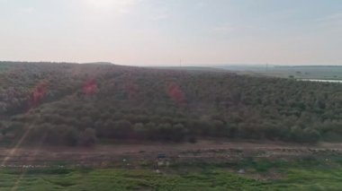 Bir büyük zeytin ekimi İsrail hava görüntüleri