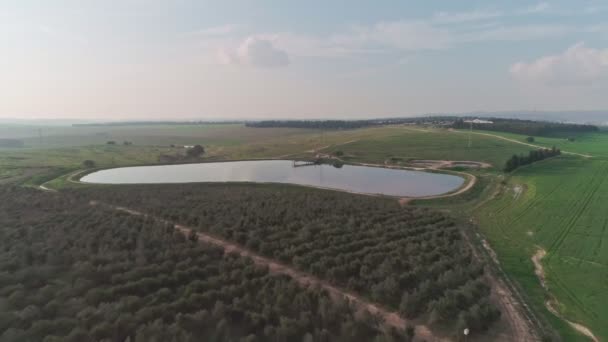 Bir Büyük Zeytin Ekimi Srail Hava Görüntüleri — Stok video