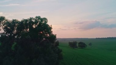 Bir buğday alanı günbatımı sırasında uçan yavaş hava atış