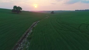 Bir buğday alanı günbatımı sırasında uçan yavaş hava atış