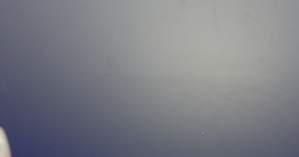 Makroaufnahme in Zeitlupe von weißen Würfeln, die auf reflektierende Oberfläche fallen und rollen — Stockvideo