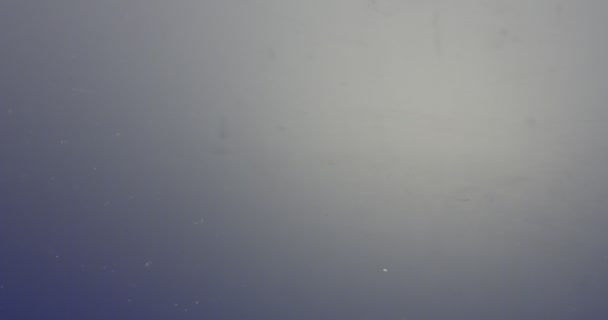 고 반사 표면에 하얀 주사위의 슬로우 모션 매크로 촬영 — 비디오