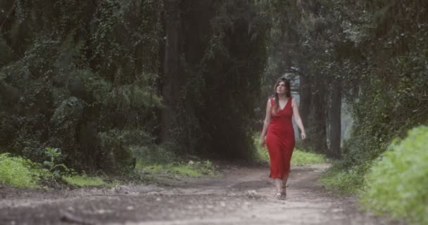 Jonge mooie vrouw met een rode jurk wandelen in een groen bos — Stockvideo