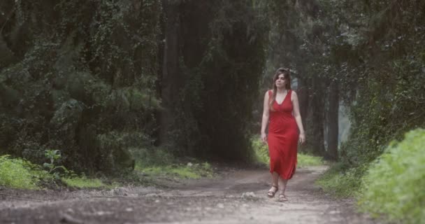 Giovane bella donna con un vestito rosso a piedi in una foresta verde — Video Stock