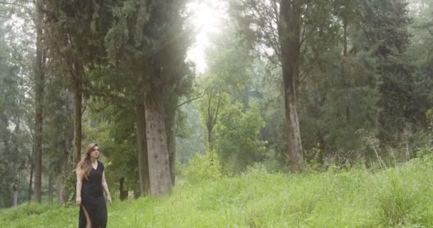 Junge schöne Frau mit schwarzem Kleid, die in einem grünen Wald spaziert — Stockvideo