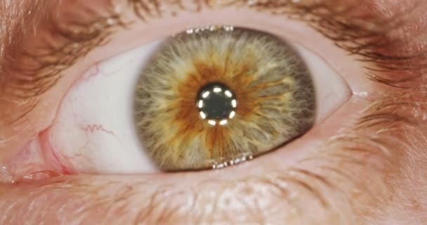 Plan macro extrême d'un œil humain brun — Video