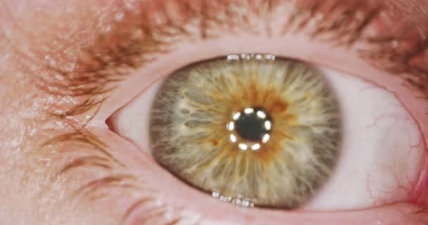 Extrém makró lövés egy barna emberi szem — Stock videók
