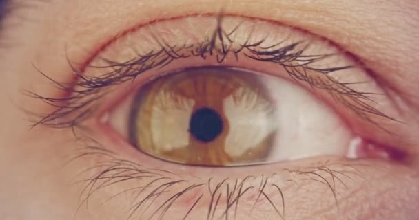 Macro disparo extremo de un ojo humano marrón — Vídeo de stock