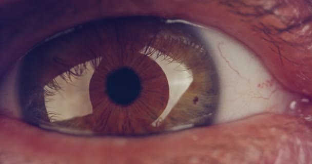 Макроснимок коричневого человеческого глаза — стоковое видео