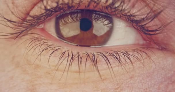 Extreme macro shot of a brown human eye — Stock Video