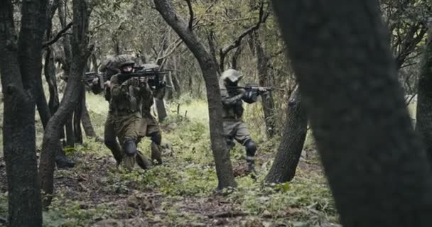 숲의 풍경에서 전투 중 완전히 무장 한 특공대 군인의 분대 — 비디오