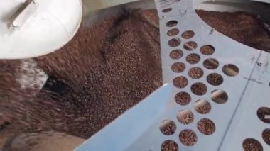 kahve fabrikasında büyük bir kavurma fırından düşen kahve çekirdekleri