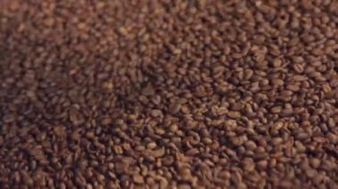 Bir kahve fabrikasında bir makinede karışık kavrulmuş kahve çekirdekleri