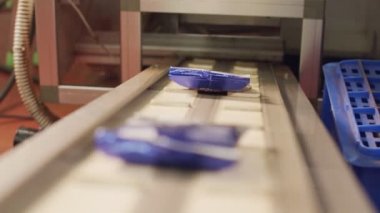 Kahve üretim tesisinde konveyör bandına paketlenmiş kahve poşetleri