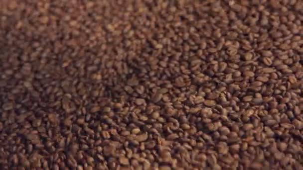 Roasted coffee beans mixed in a machine in a coffee factory — Stock Video