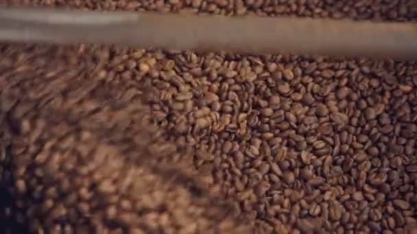 Bir kahve fabrikasında bir makinede karışık kavrulmuş kahve çekirdekleri — Stok video