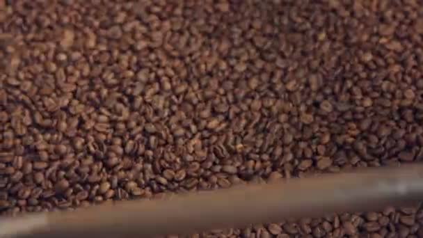在咖啡厂的机器中混合的烤咖啡豆 — 图库视频影像