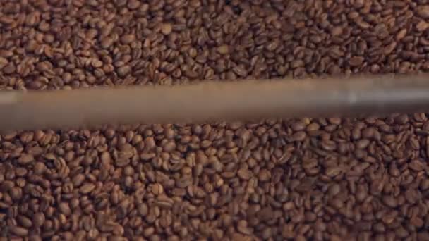 Gebrande koffiebonen gemengd in een machine in een koffie fabriek — Stockvideo