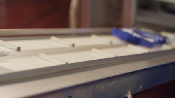 Verpackte Kaffeesäcke auf einem Förderband in einer Kaffeeproduktionsanlage — Stockvideo