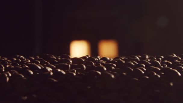 Granos de café tostados en una cinta transportadora con fuego de horno en el fondo — Vídeo de stock