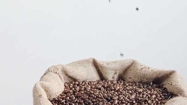 Slow motion of coffee beans falling into a burlap sack — Stock Video