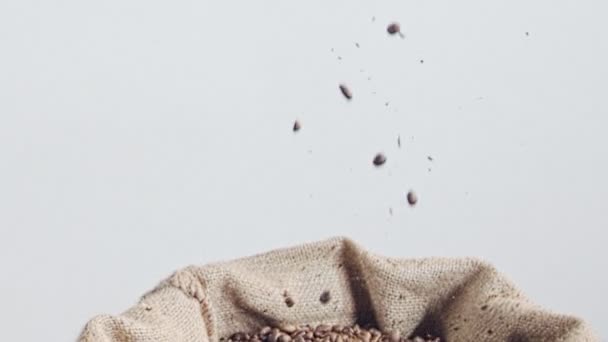 Slow motion of coffee beans falling into a burlap sack — Stock Video