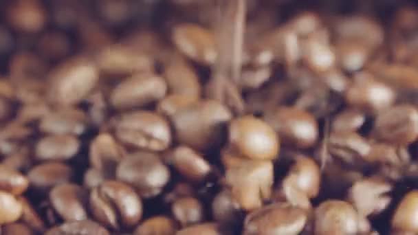 Câmera lenta de grãos de café caindo em um saco de serapilheira — Vídeo de Stock