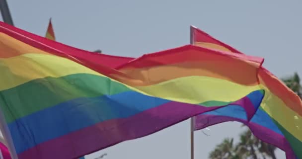 Orgoglio LGBT bandiera arcobaleno sventola al rallentatore durante una parata orgoglio — Video Stock