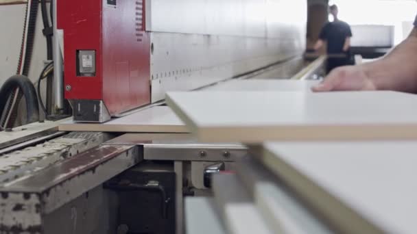 Lavoratore in una fabbrica di mobili che inserisce lastre di legno in una macchina — Video Stock