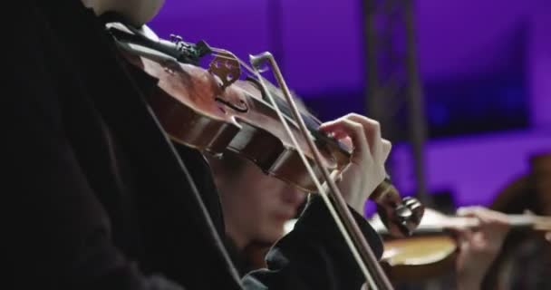 Musiker spielt Geige während einer Probe für klassische Musik vor einem Konzert — Stockvideo