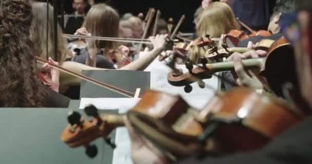 Músico tocando el violín durante un ensayo de música clásica antes de un concierto — Vídeo de stock