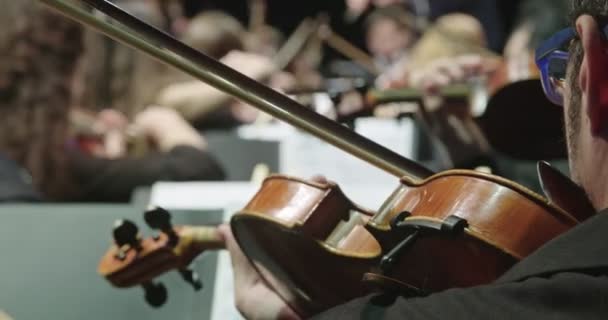 Konser öncesi klasik müzik provası sırasında keman çalan müzisyen — Stok video