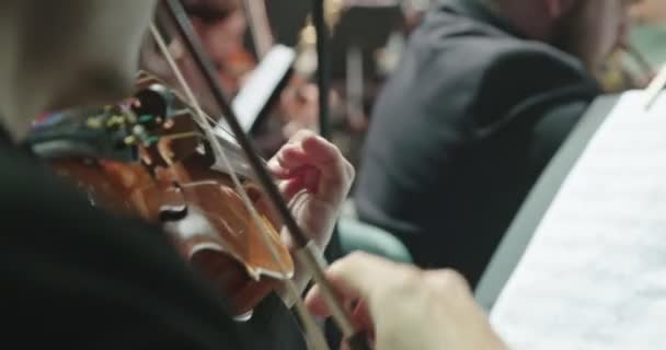 Μουσικός που παίζει βιολί κατά τη διάρκεια μιας κλασικής μουσικής πρόβα πριν από μια συναυλία — Αρχείο Βίντεο