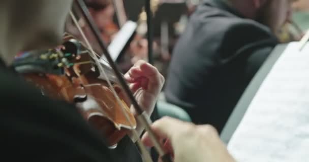 Muzikant die viool speelt tijdens een klassieke repetitie voor een concert — Stockvideo