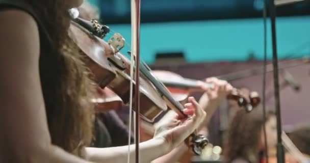 Musiker som spelar violin under en klassisk musikrepetition inför en konsert — Stockvideo