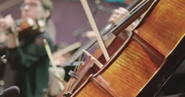 Músico tocando violoncelo durante um ensaio de música clássica antes de um concerto — Vídeo de Stock