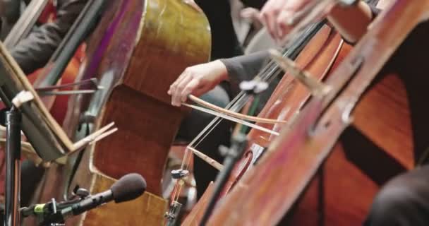 Музыкант играет на виолончели во время репетиции классической музыки перед концертом — стоковое видео