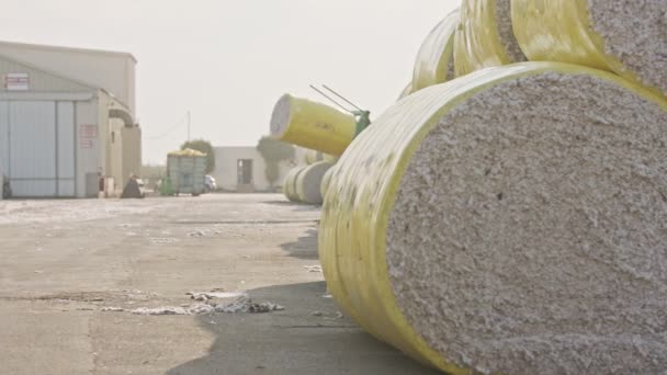 Großer Traktor belädt Baumwollballen an einem Baumwollgin vor der Verarbeitung — Stockvideo