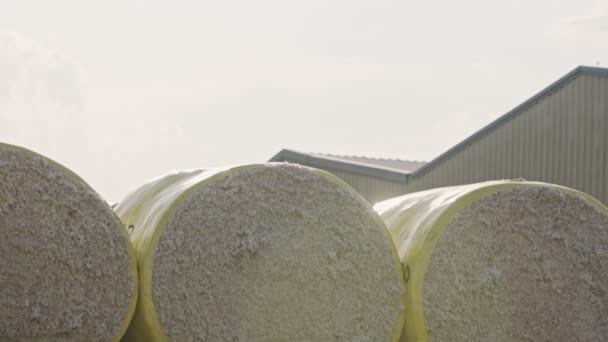 Grandes montones de pacas de algodón en una ginebra de algodón después de la cosecha — Vídeos de Stock