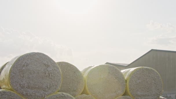 Large stacks of cotton bales at a cotton gin after harvest — Stock Video