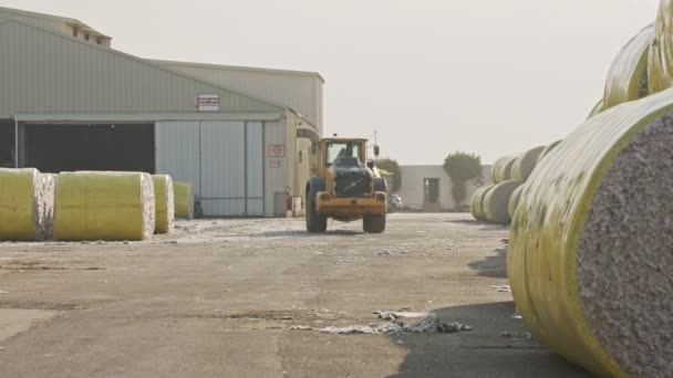 Large tractor loading cotton bales at a cotton gin before processing — Stock Video