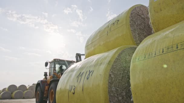 Velký traktor nakládající bavlněné balíky v bavlněném ginu před zpracováním — Stock video