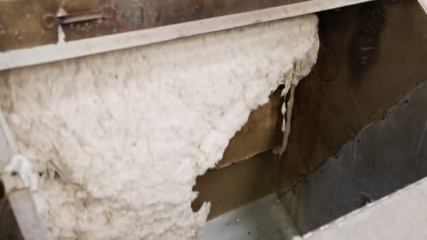 Clean cotton flowing inside a machine in a large industrial cotton gin — Stock Video