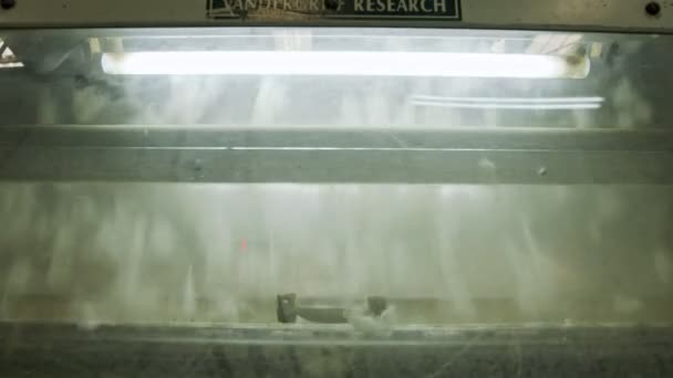Trenn- und Verarbeitungsmaschinen für Baumwolle in einem industriellen Gin aus Baumwolle — Stockvideo