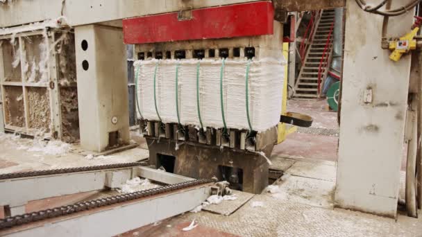 Pacas de algodón limpias comprimidas después de la separación en una gran ginebra de algodón industrial — Vídeo de stock