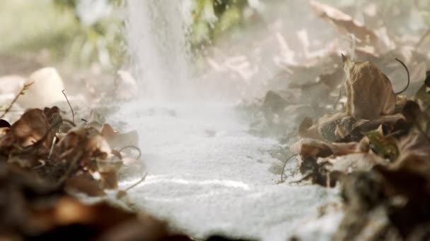 Mouvement lent de l'engrais blanc versé dans le sol