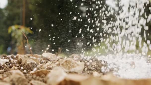 Mouvement lent de l'engrais blanc versé dans le sol — Video