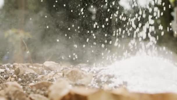 A talajba öntött fehér műtrágya lassú mozgása — Stock videók